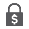 ID Theft Money Lock Icon