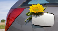 Extended Vehicle Warranty icon