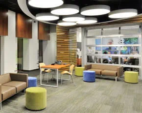 Branch Image