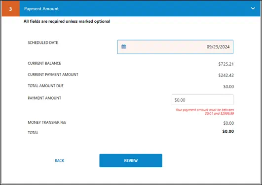 Your payment amount must be between $0.01 and $2999.99. Enter the desired payment amount and click REVIEW.