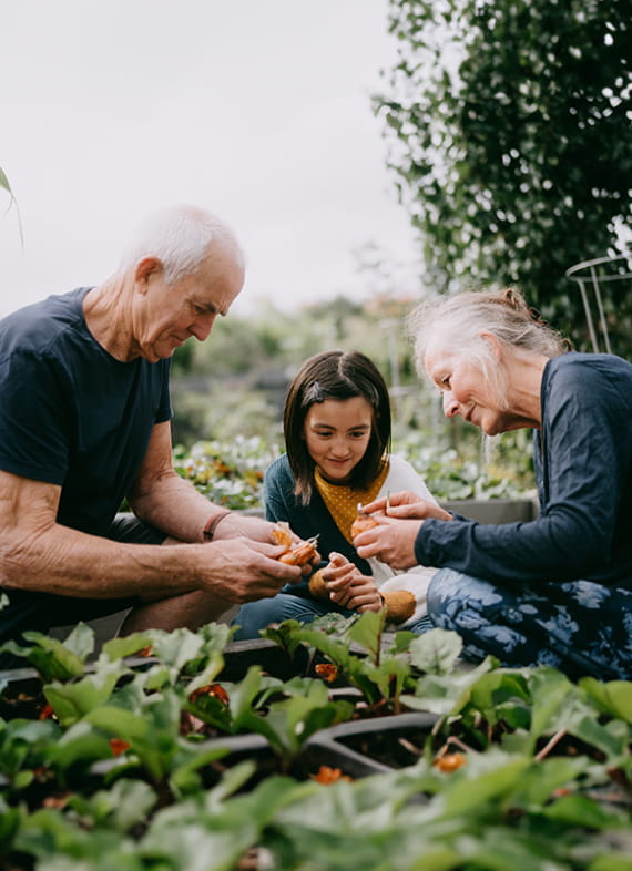 Elderly couple and child smiling over a vegetable garden.