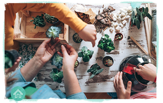 building a terrarium