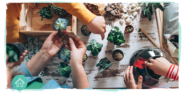 building a terrarium