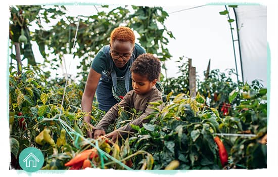 vegetable gardening