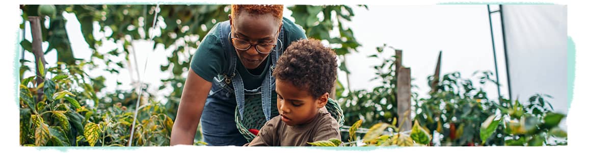family herb gardening