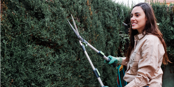 A girl trimming the plants