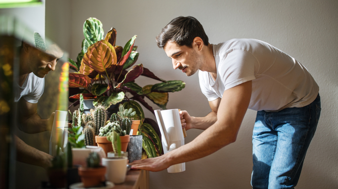 a man watering a flower